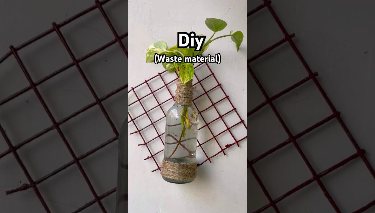 कबाड़ से जुगाड़ (अपने गार्डन को और सुंदर बनाओ )😎#dadikagarden #diy #explore #waste #viral #yt