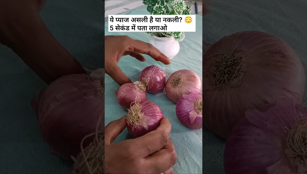 DIY Real vs Artificial Onion 😱 | Fake vs Original Onion Test #shorts #lifewithnehangp