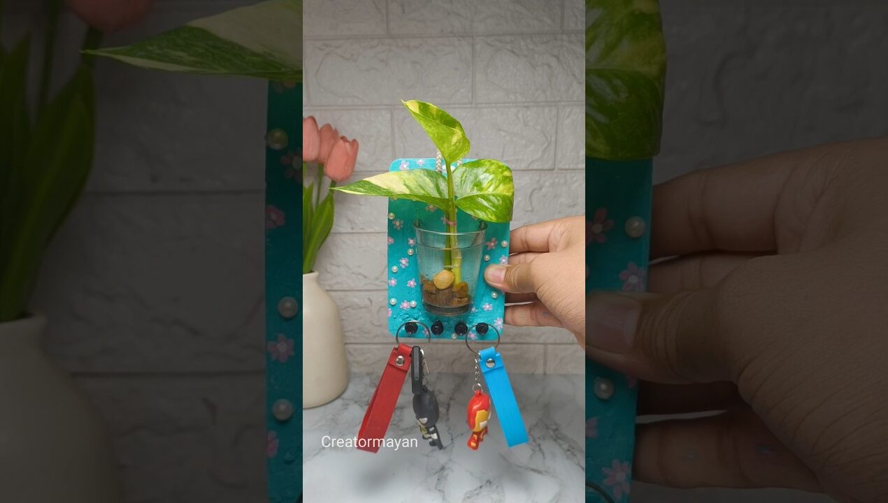 diy key holder #viral #handmade #diy #decor #viralvideo #shortvideo #keyholder 👍🩵
