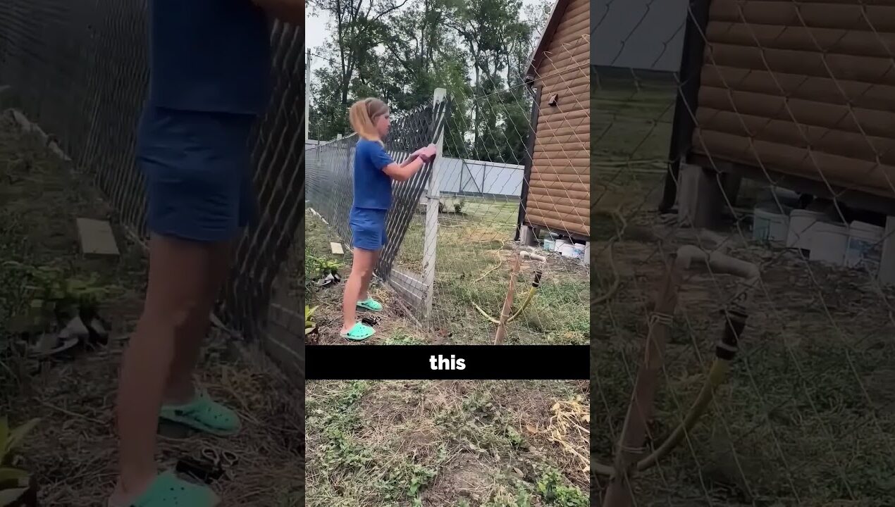 Neighbors Won't See A Thing! (DIY Fence Hack) 🏡 #Shorts