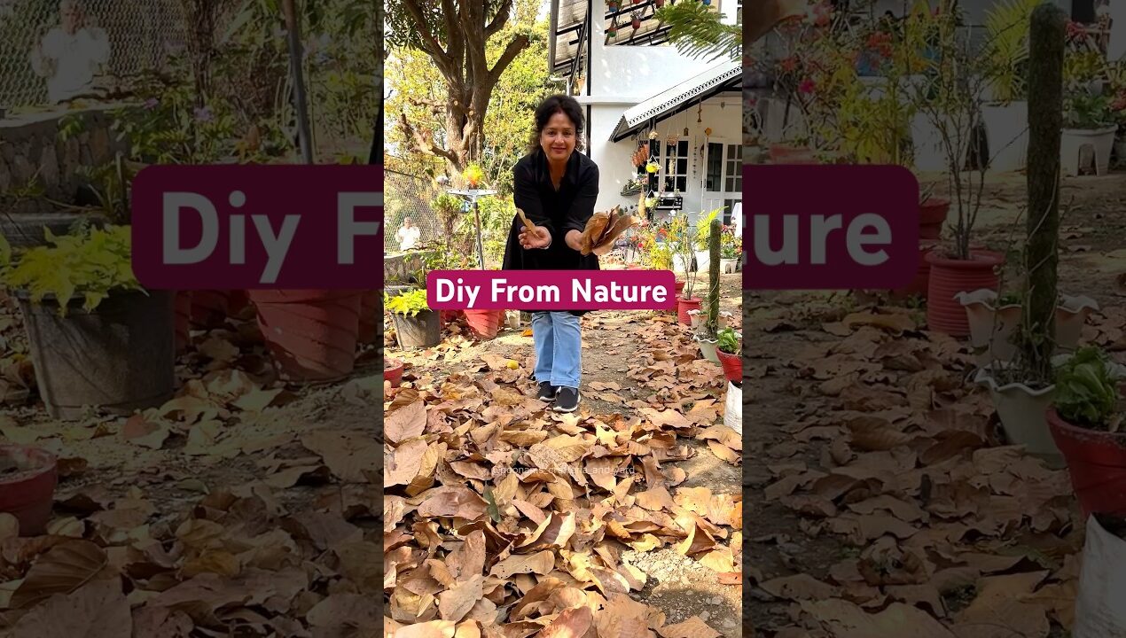 0 cost Leaf Art Idea 🍂 #diy #villagelife