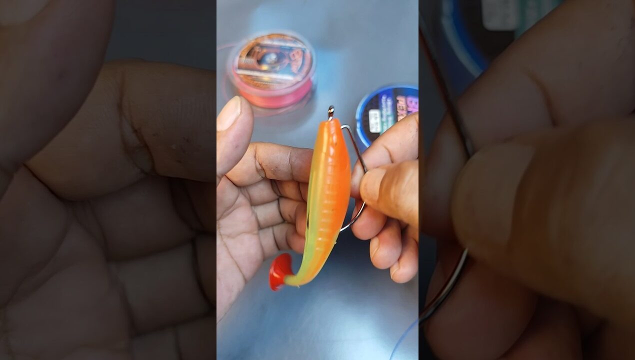 Perfect Soft Plastic Rigging Every Time! #fishing #fishingknot #fishingtips #softlure #diy