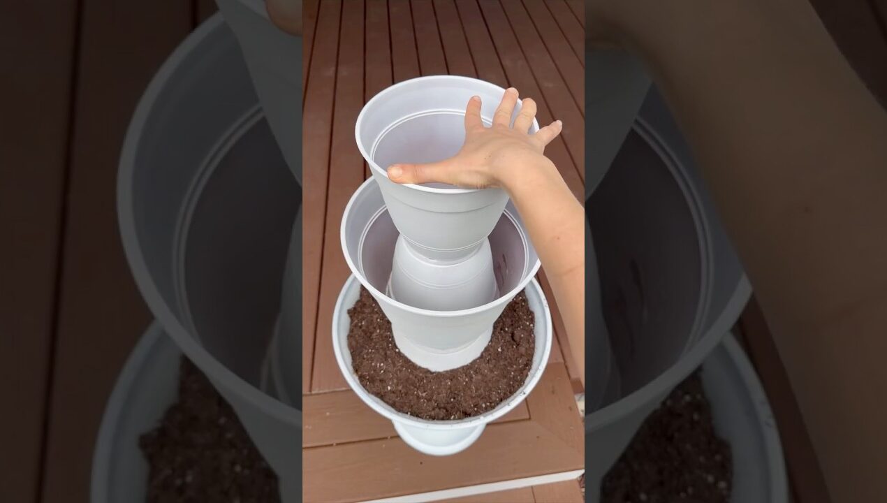 my porch needed this! 😍