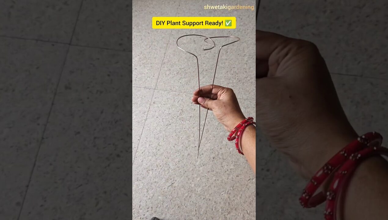 How to Make DIY Plant Support 🪴#diy #shorts #garden #youtubeshorts