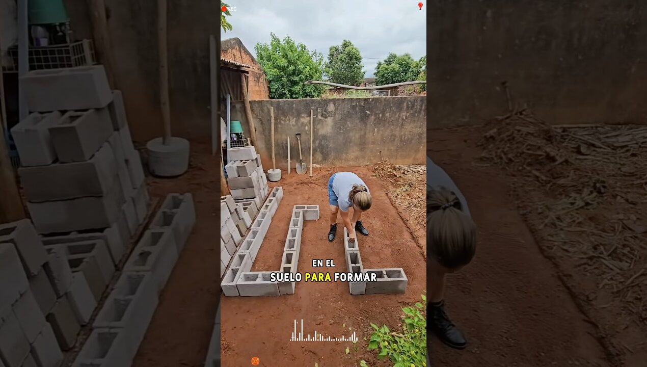 Simple and easy DIY backyard garden ideas 😯#youtube #diy #didyouknow #foryou #amazing