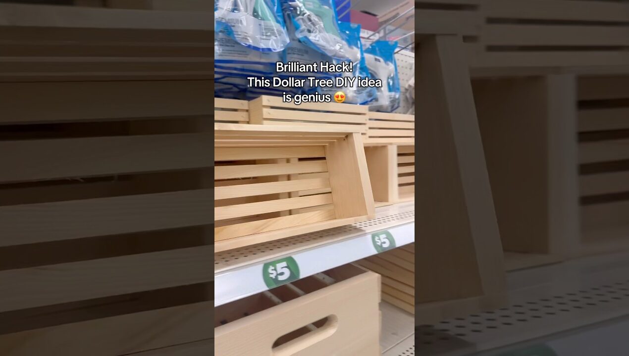 Dollar Tree diy idea for home organization #viral #diy #dollartree #shortsvideo #