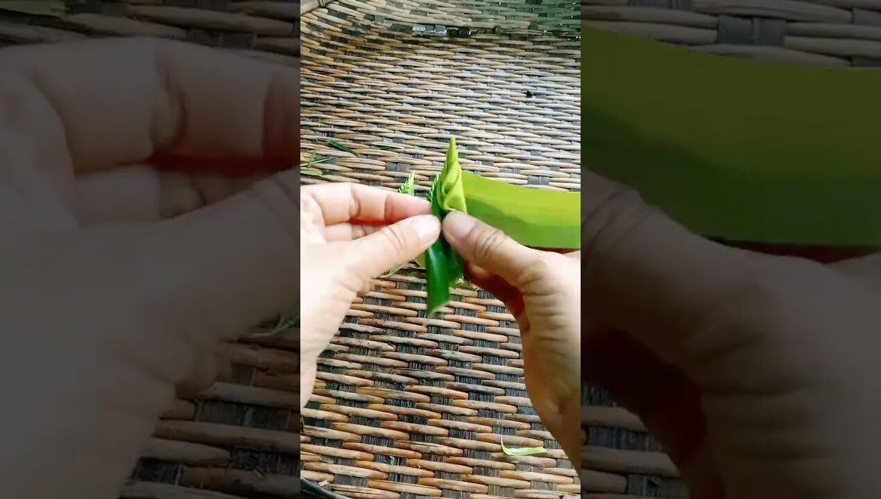 ยอดช่อใบตองอ่อน #diy #ideas #งานฝีมือ