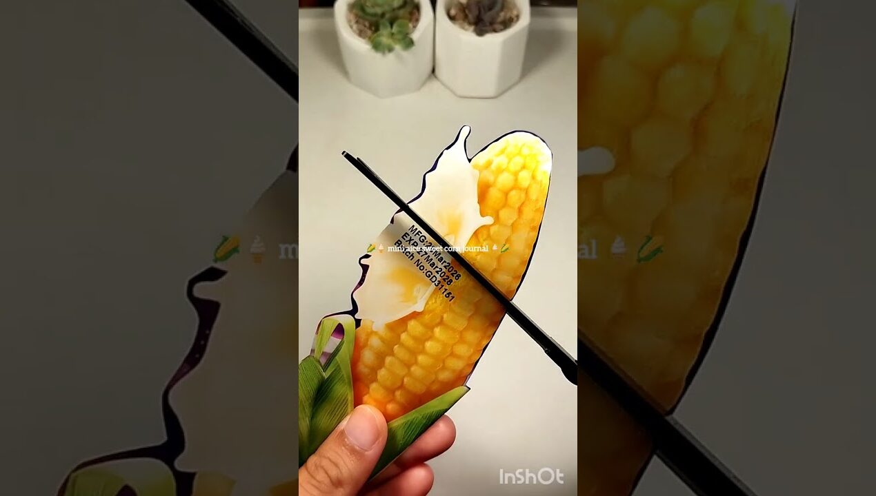 mini aice sweet corn journal 🍦🌽 #art #diy #craft #asmr #journal