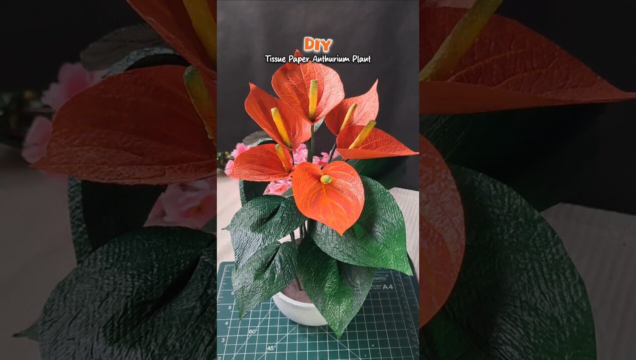 DIY Tissue Paper Anthurium Plant🪴|#diy #art #artandcraft #shorts #shortvideo #viral #viralvideo
