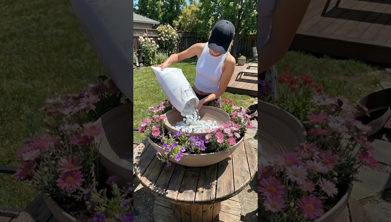 DIY Solar Fountain for Your Garden 💧✨