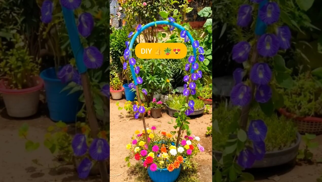 Aparajita Vine And SAI BABA Idol In My DIY Ideas 🥰🌿#diy #saaibaba #viral #ytshorts #idol #ideas