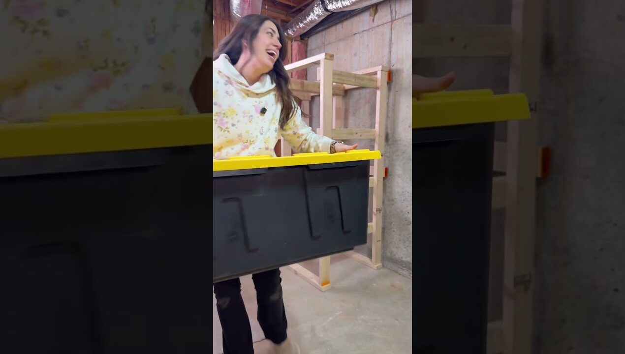 Basement storage solution cheaper than Costco 💃 #diy