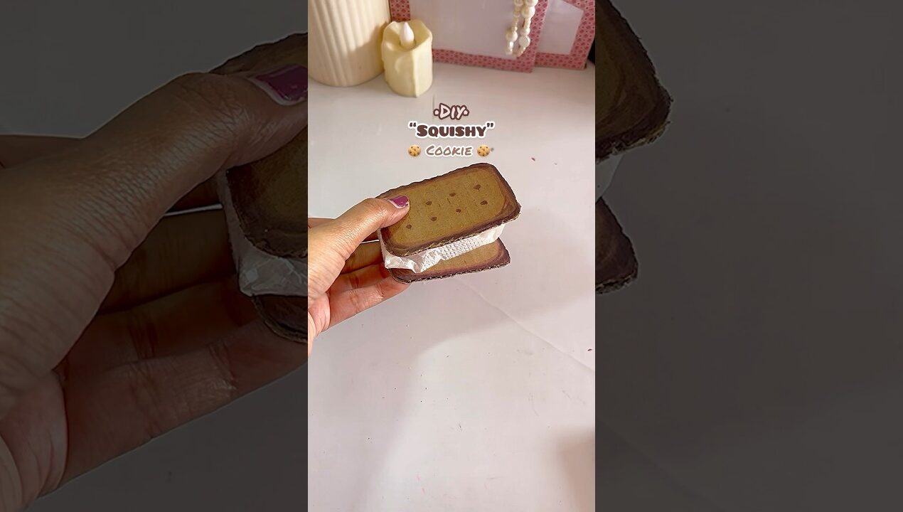 Diy 🧽Squishy Cookie 🍪 #diy #craft #craft #shorts