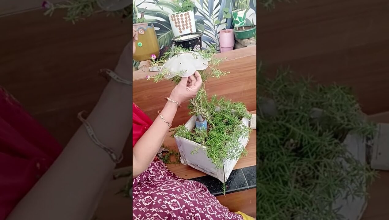 DIY Ganesha Jhula Planter 🌿 | Best Out of Waste ♻️#craft #handmadeplanter