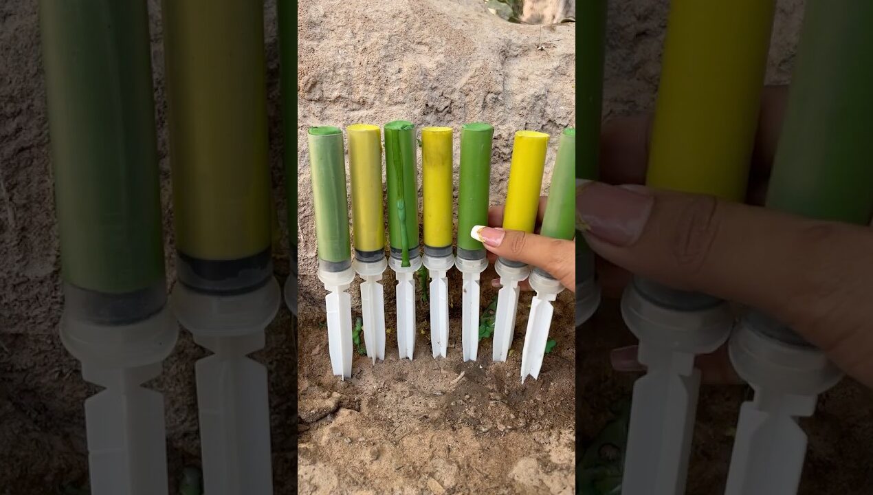 Survival Skills: SIMPLE but USEFUL Save Soap and Water #camping #diy #survival #bushcraft
