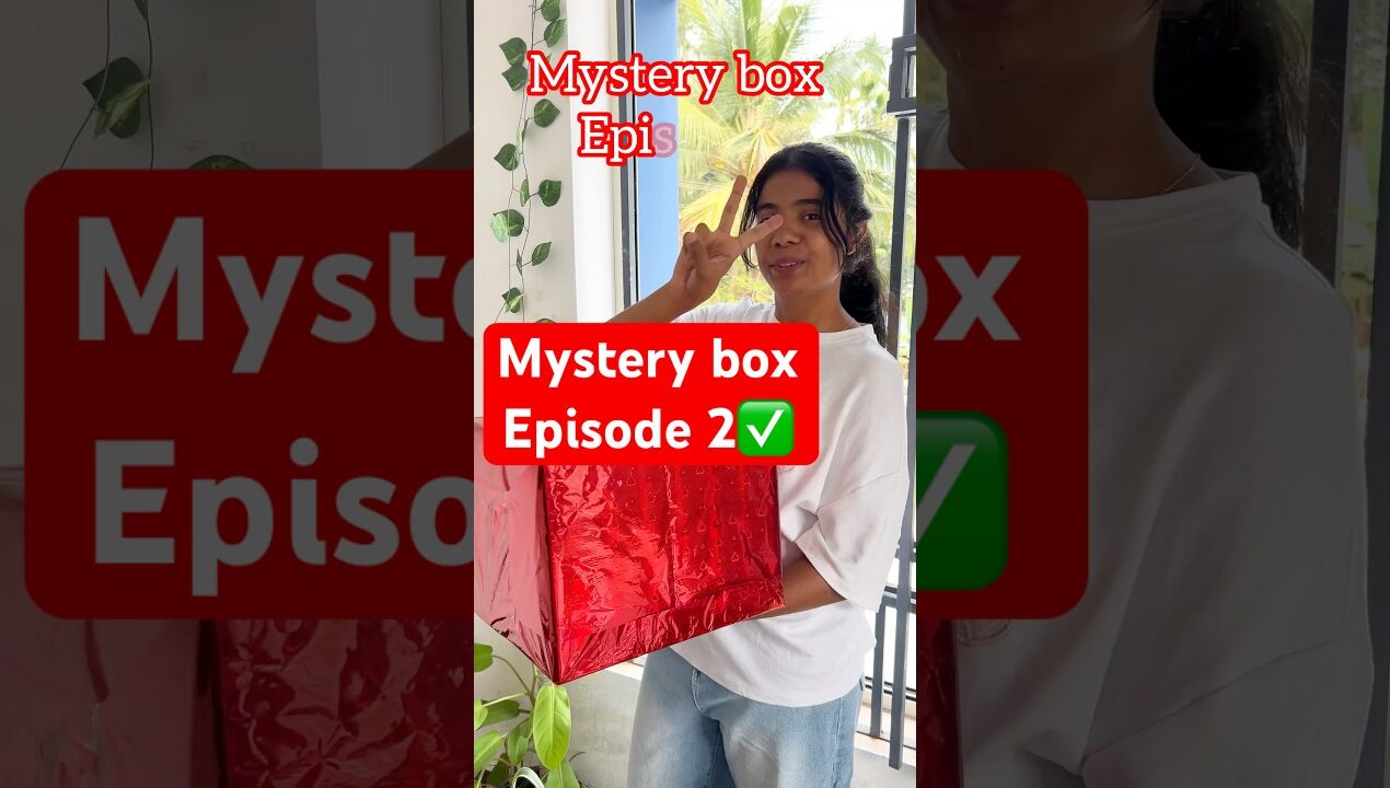 Mystery box episode 2 #shorts #shortvideo #diy