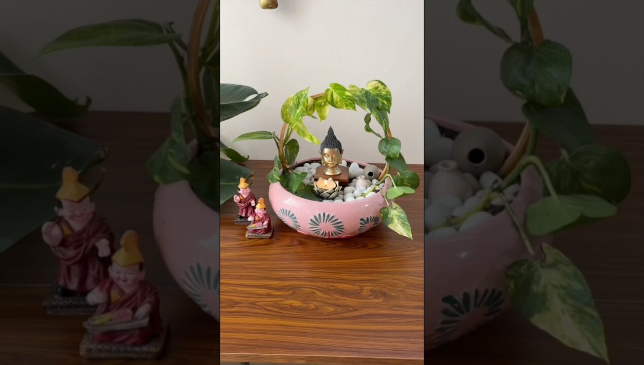 ₹100 Me Mini Garden Setup 😱🌿 | Ghar Ko Banaye Green Paradise #shorts #home #diy #garden #minigarden