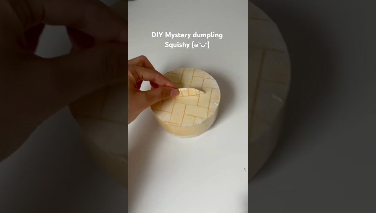 DIY Mystery dumplingSquishy!! (๑˃ᴗ˂) #squishy #diy #diycrafts #papercraft #craft #mysterybox