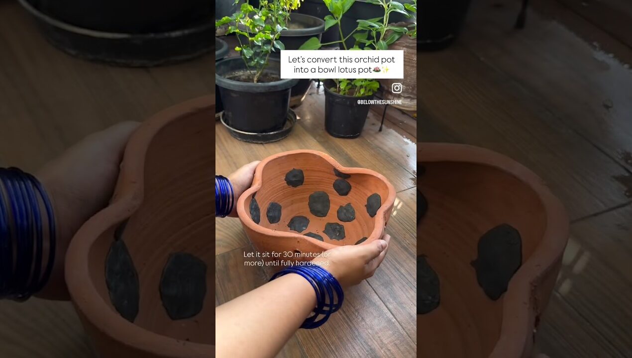 ഒരു കുഞ്ഞു diy #balcony #gardening #garden #home #diybalcony #flowers #plants #lotus #minipond #diy