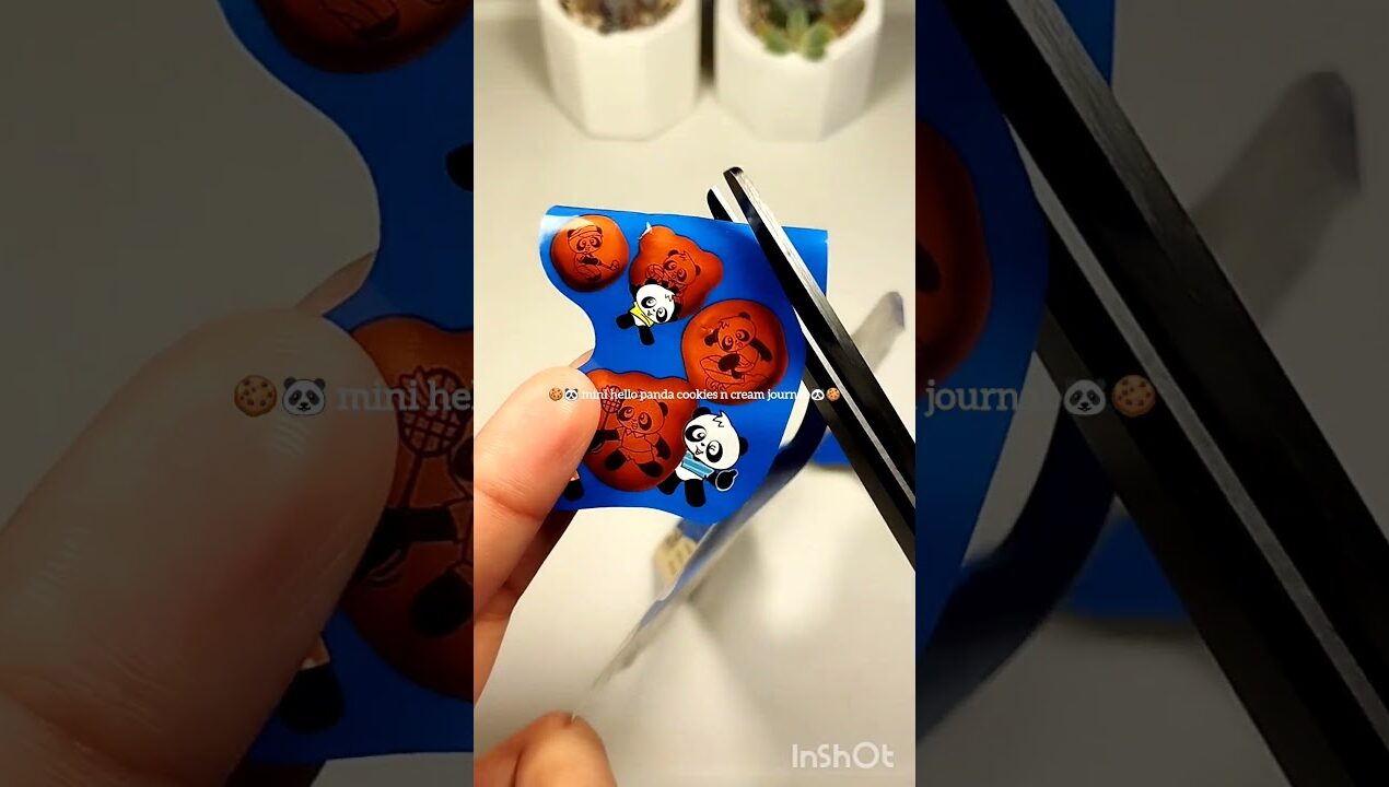 mini hello panda cookies n cream journal 🐼🍪 #art #diy #craft #asmr #journal