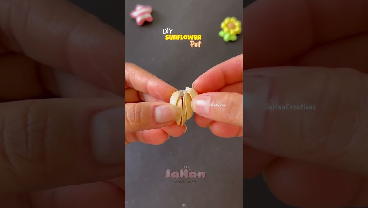 DIY pista shells sunflower 🌻 #diy #craft #shortvideo #craftideas