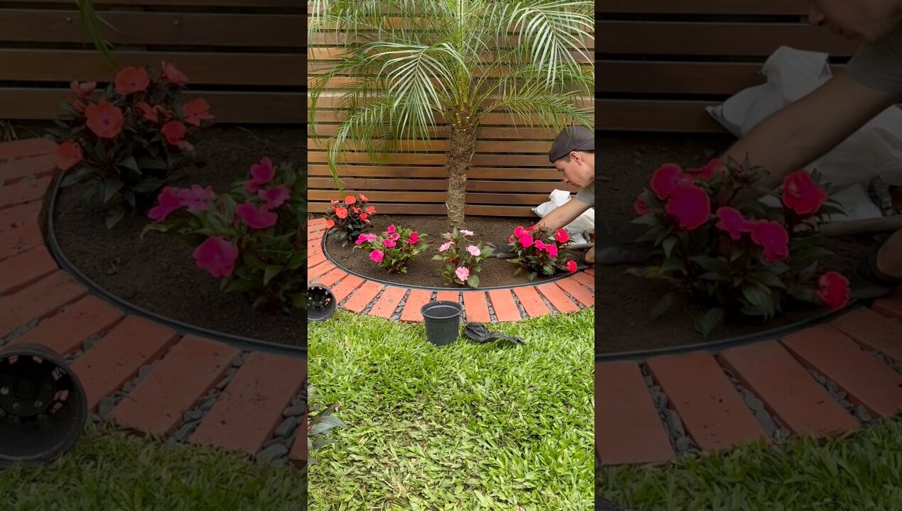 Garden decor for small spaces! Easy DIY 🌴 #garden #diy #flowers