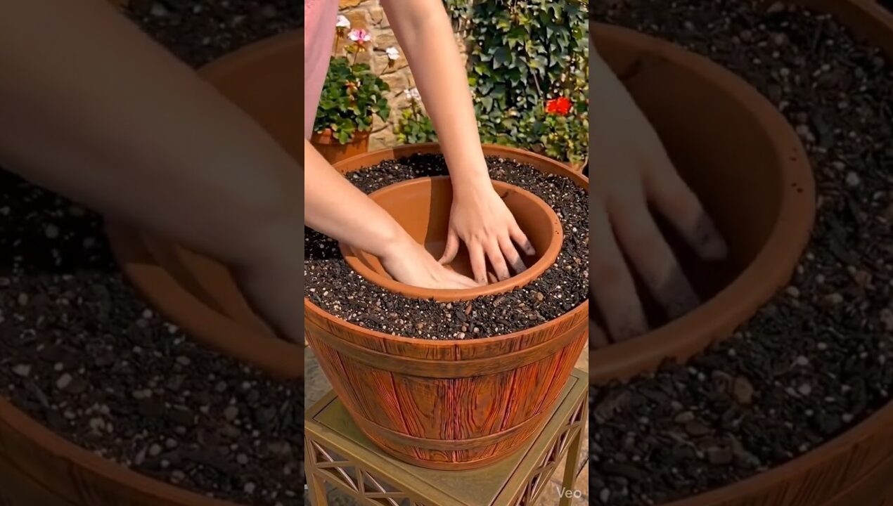 Clever Landscaping Idea For Your Garden #shorts #trending #garden #gardening #diy #transformation