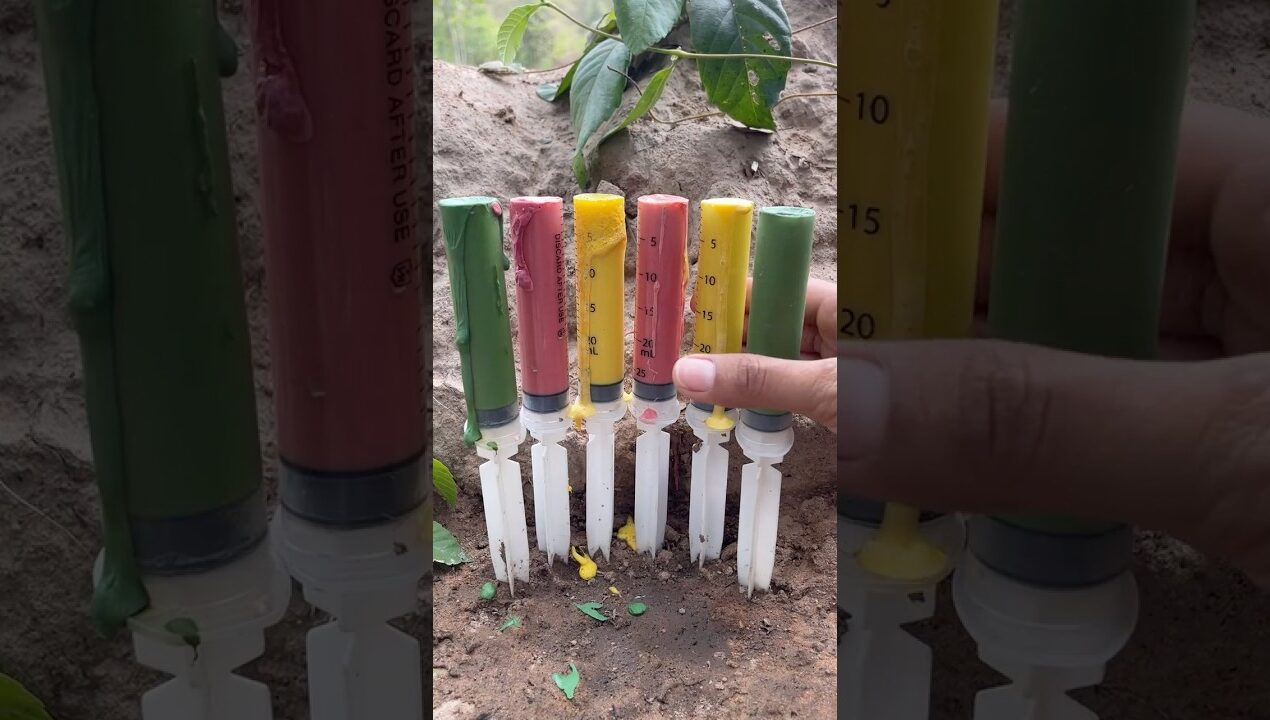 Survival Skills: SIMPLE but USEFUL Save Soap and Water #camping #diy #survival #bushcraft