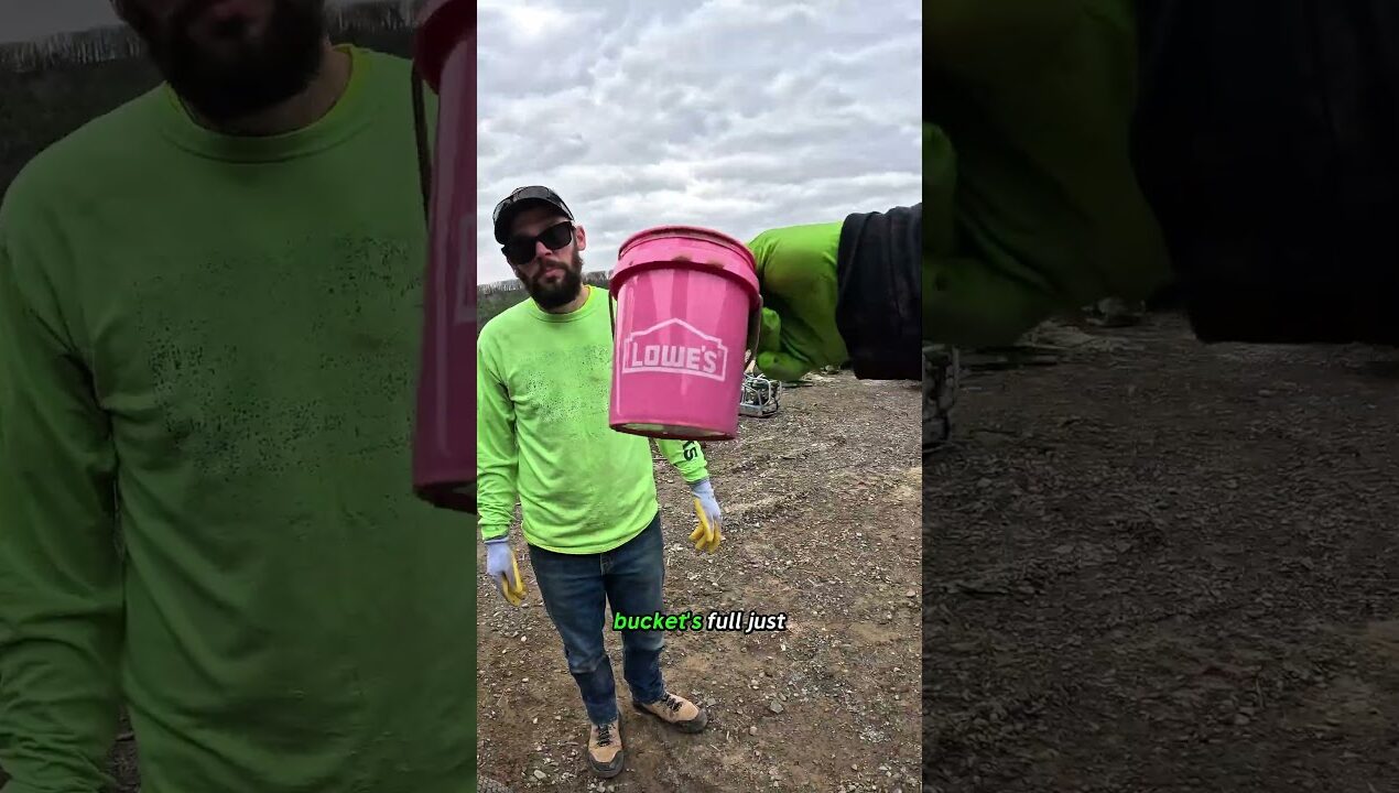 Lowe's billable bucket oil change #hack #diy #mechanic