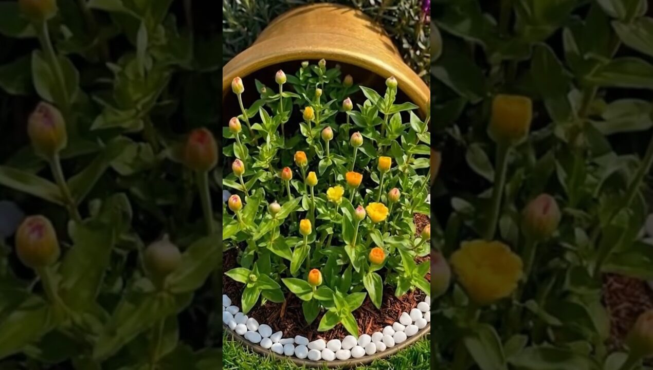 Clever Landscaping Idea For Your Garden #shorts #trending #landscape #gardeningtips #transformation