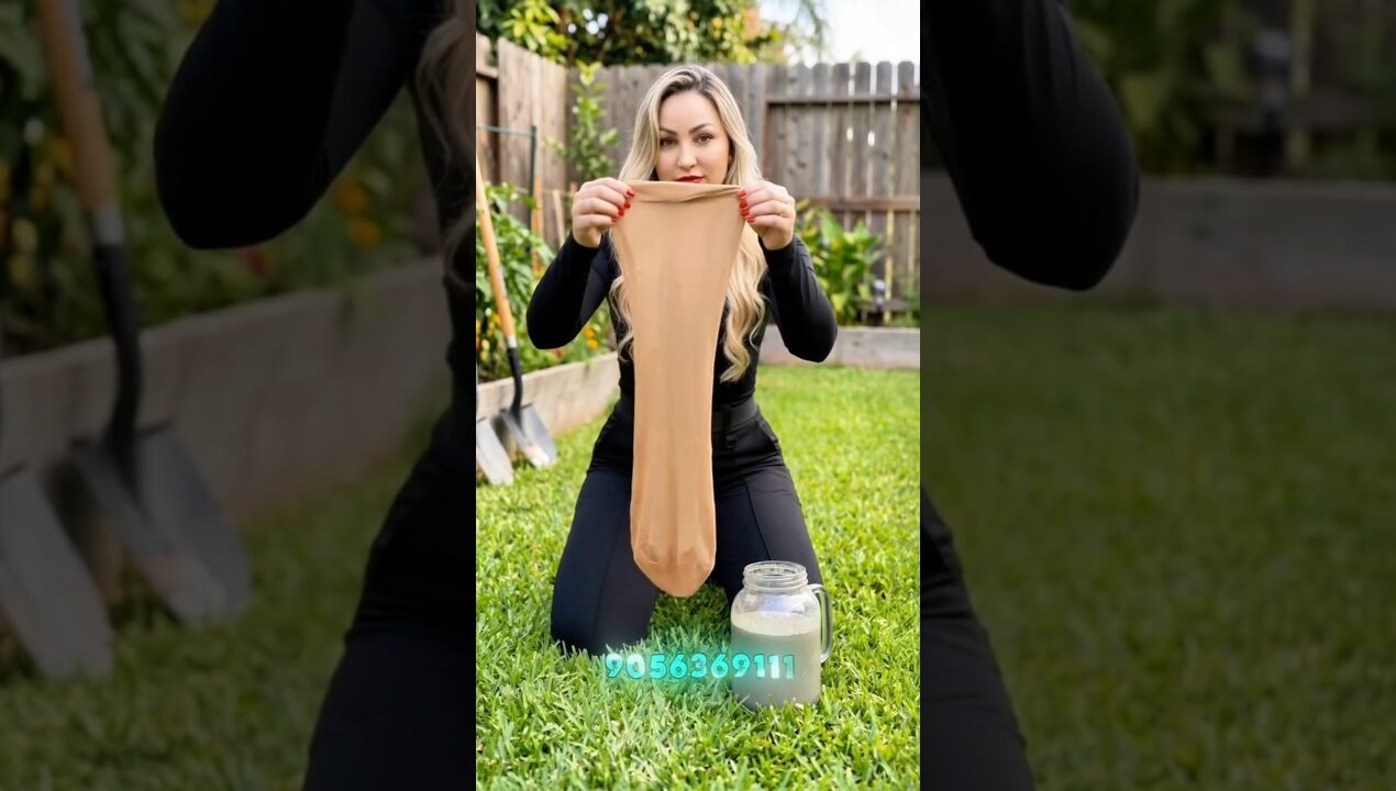 DIY garden Ideas:- Easy Cement garden decor anyone can make 🌿 #gardeningtips #home