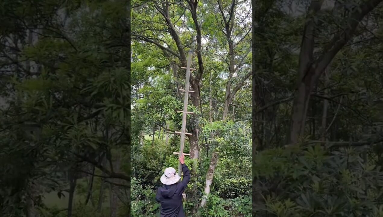 DIY Simple Useful Ladder #diytools #diyideas