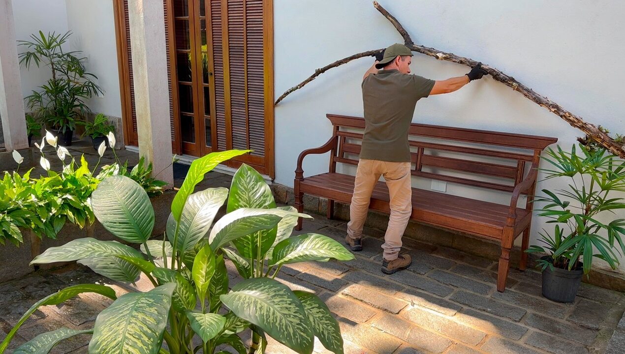 3 Amazing Ideas with Tree Trunks for Your Garden!🪵🌿