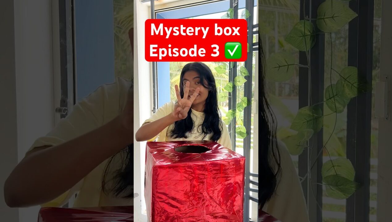 Mystery box episode 3 #shorts #shortvideo #diy