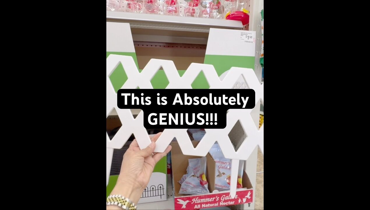 Genius Garden Fence DIY Idea for your Patio! #diy #shorts #new  #homedecor