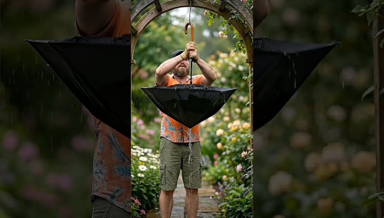 I Planted Flowers Right in an UMBRELLA! ☂️ Magical Backyard Decor ✨ #garden #gardening #diy