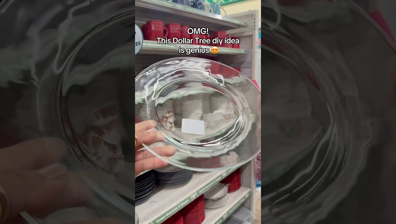 This is brilliant! A dollar tree diy idea you must know #diy #diyidea #shortsvideo #dollartree