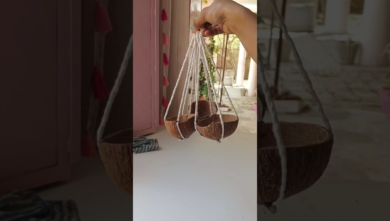 Diy for bird's 🐦#diy #summer #birds #diyideas #shorts