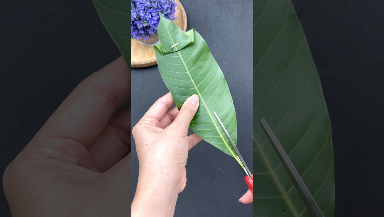 #diy #mangoleaf