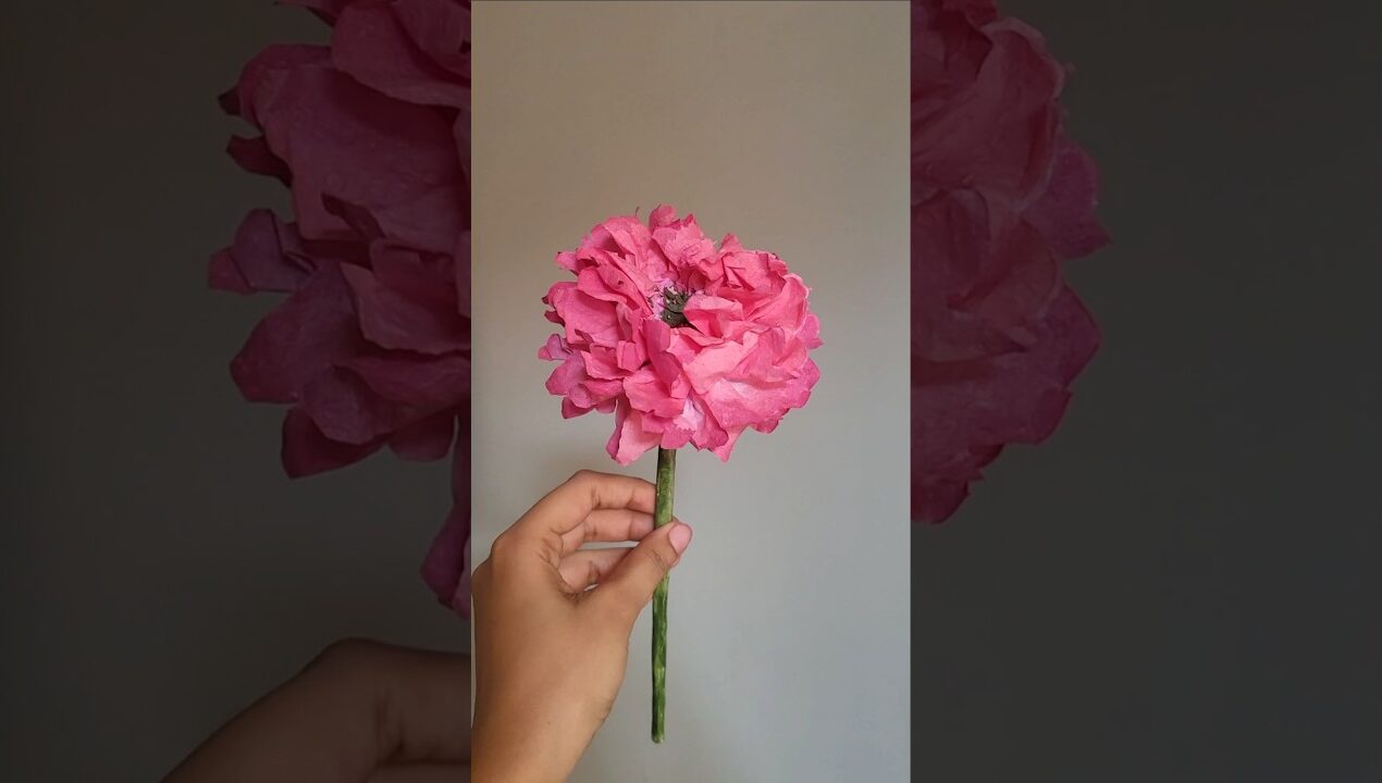 DIY Peonies | how to make Peonies using paper towels tutorial | #diy #paperflower #craft #shorts