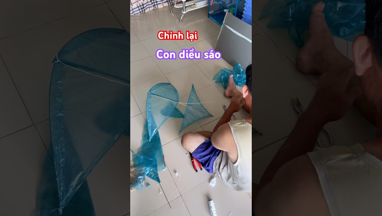 Chỉnh sửa lại diều sáo #tranfish #diy