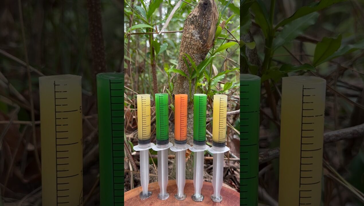 Survival Skills:The shows andUseful Save SOAP#outdoors #bushcraft #camping #skills #diy