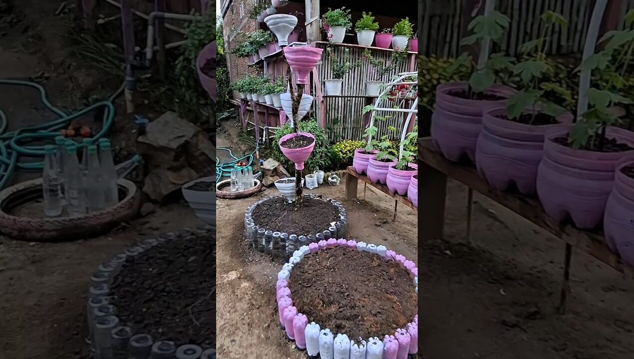 Creative DIY Raised Bed Idea from Waste Bottles #gardening #raisedbedgarden #recycleideas