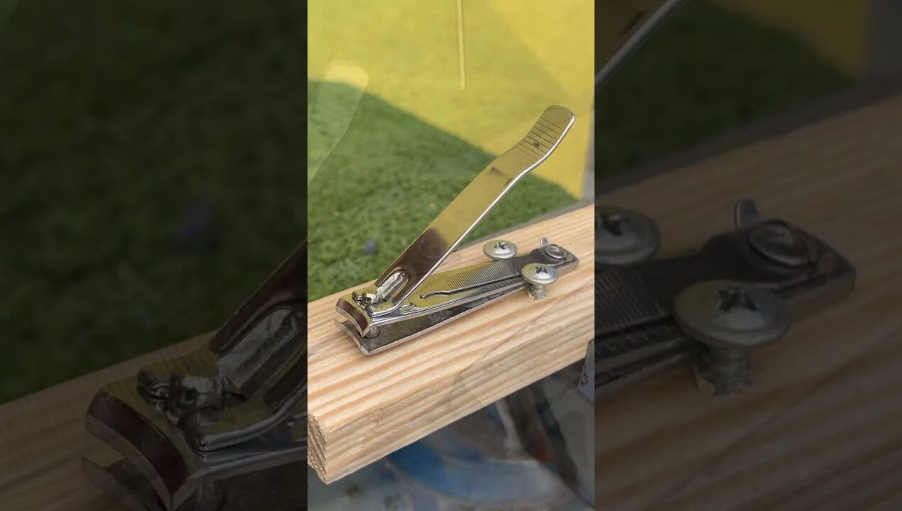 Cortador de unha resolve problema que ninguém imaginou  #ideias #tools #ideiasbrilhantes #diy