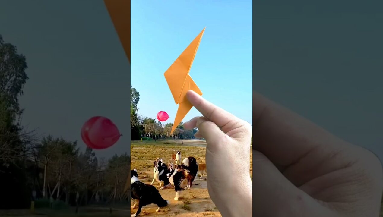 🤯 Diy Paper Boomerang That Actually Flies 😱 #diy #papercraft #paperboomerang #foryou #craft