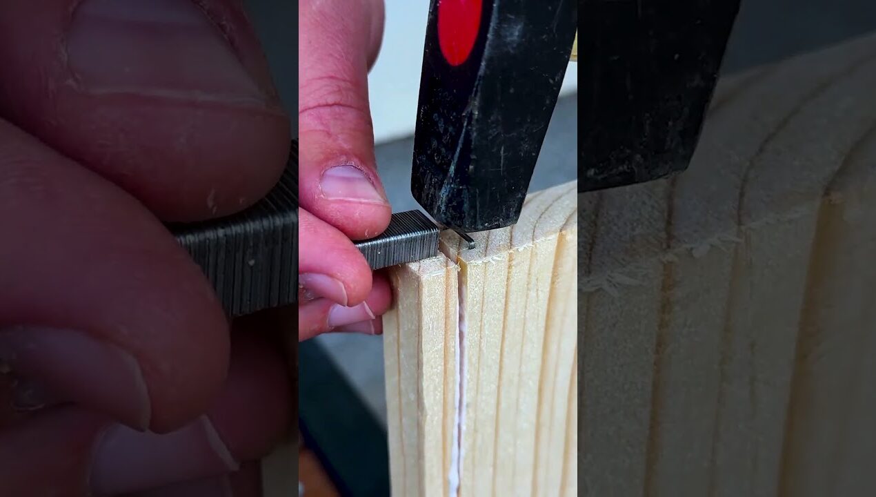 Simple staple trick for joining wood #diy #wood #joint #staple #trick