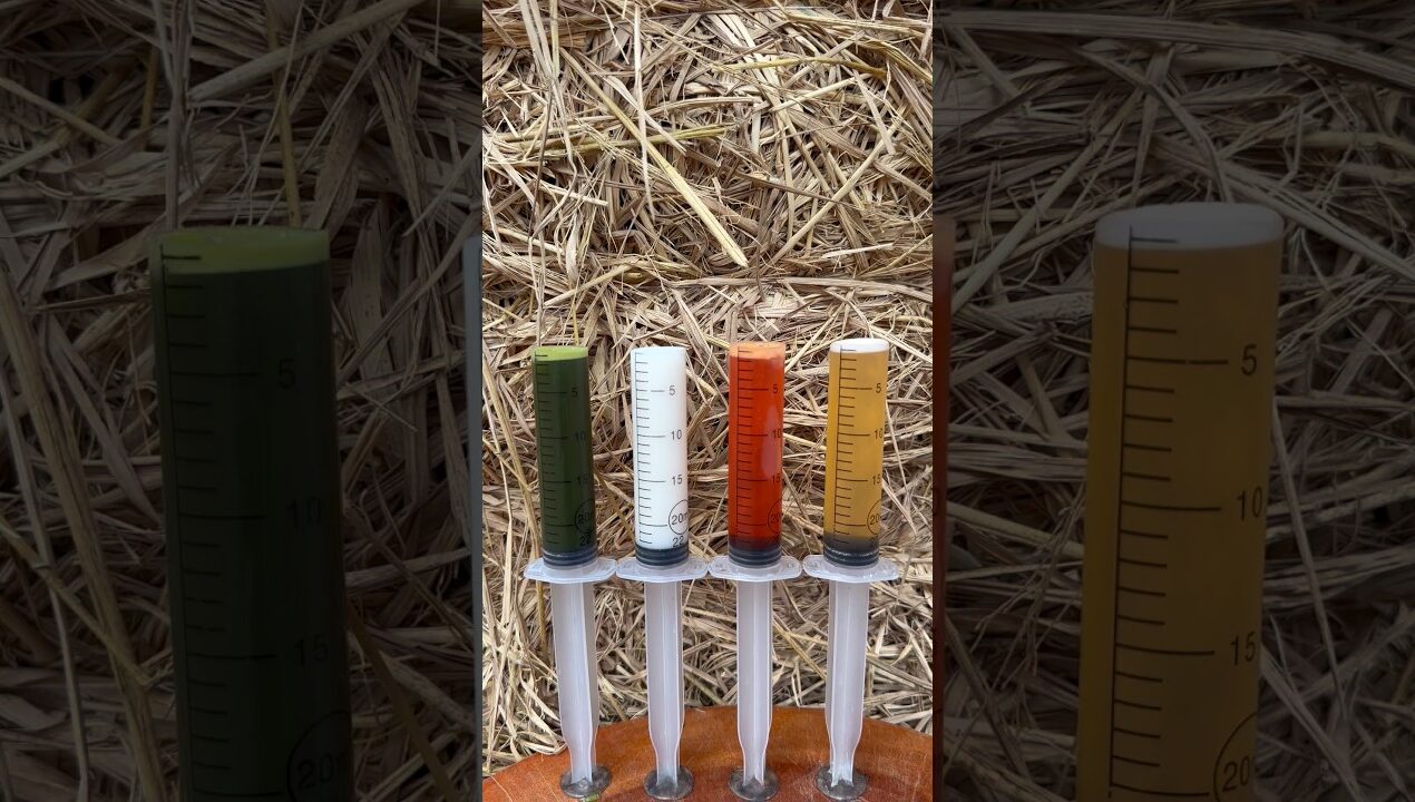 Survival Skills:The shows andUseful Save SOAP#outdoors #bushcraft #camping #skills #diy