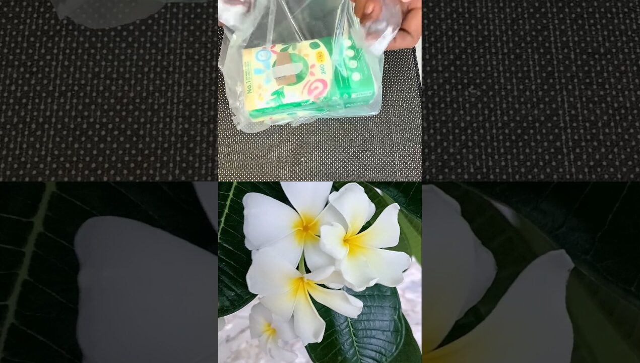 Genius Hack With a Plastic Bag! #diy #ideas #lifehacks #shorts