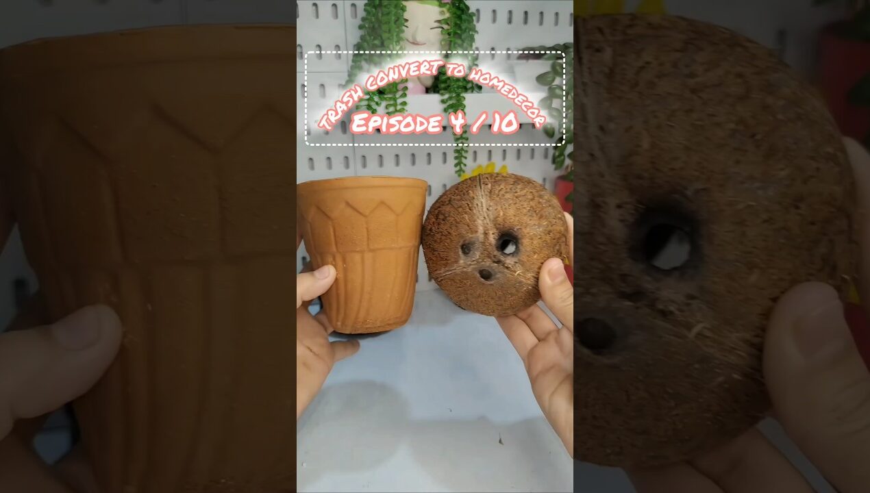 DIY Homedecor from waste #diy #craftideas #artandcraft #homedecor #shorts #viralvideo #crafting #art
