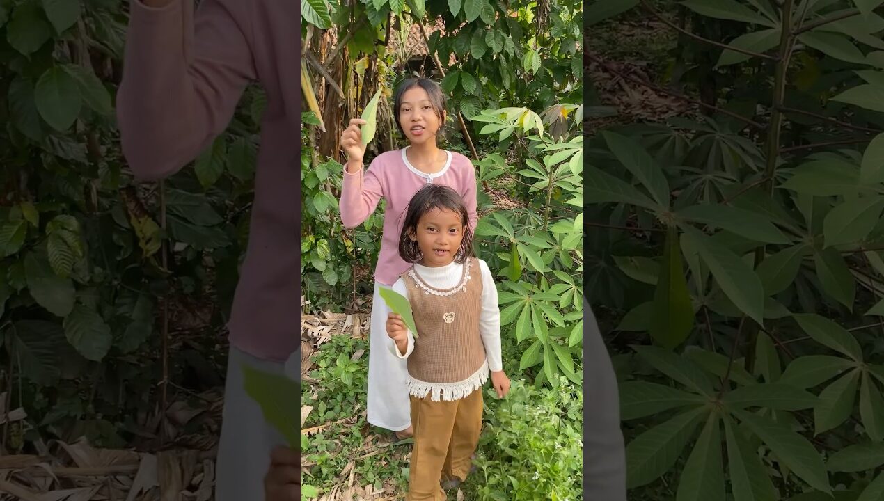 Meriam daun singkong #diy #kreatif #viral #art #craft